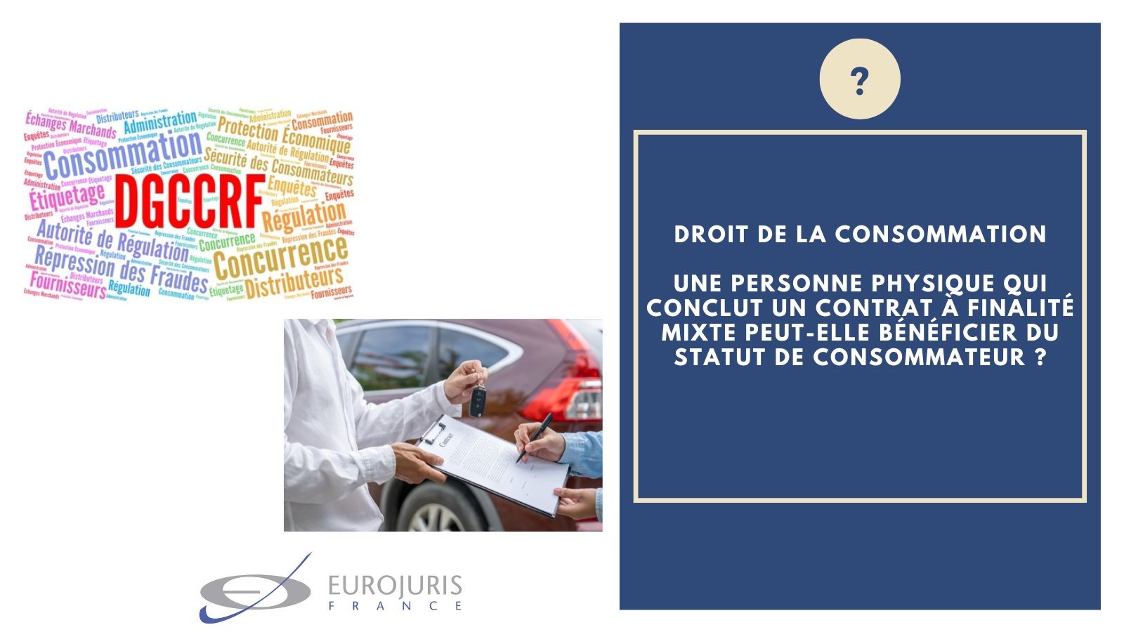 Droit de la consommation et acheteur mixte